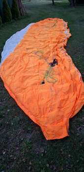 Freex Funiak L 90-115kg Nie kąpany Żadnego latania po piasku Bez KT Drzewa nie