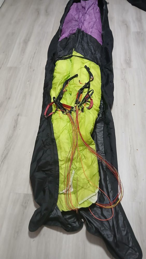 1252023419