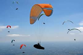 777 Rook 4 S 70-87kg Nekoupáno Žádné SIV Nevětveno