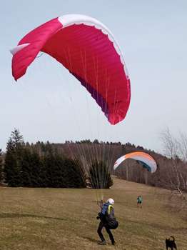 Advance Alpha 7 24 60-95kg Concertinas No flying on the sand TC valid No SIVs No trees No water