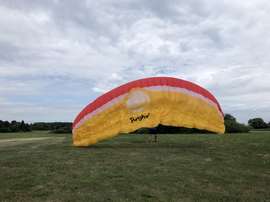 Gradient Bright 5 24 63-80kg Blumenkohlpflanze Nicht durchnässt Kein Fliegen im Sand TC frisch