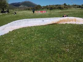 AXIS VEGA 6 XXL 115-135kg Brak SIV Bez KT Żadnego latania po piasku Drzewa nie Nie kąpany