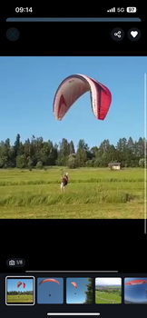 SWING nexus TC valid TC fresh No SIVs No flying on the sand No trees Concertinas No water