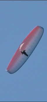 UP Kibo M 85-110kg Żadnego latania po piasku Drzewa nie KT ważna