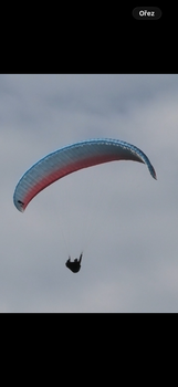 UP Kibo M 85-110kg Żadnego latania po piasku Drzewa nie KT ważna