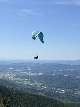 Advance Sigma 10 25 80-100kg Listowany Brak SIV Żadnego latania po piasku Drzewa nie Nie kąpany