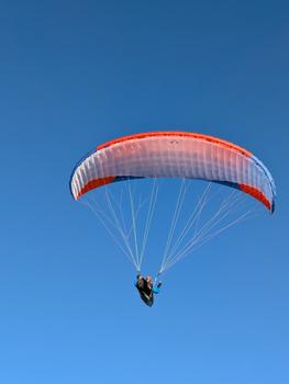 Advance Alpha 8 DLS 26 70-110kg Listovaný Žádné SIV Nelétáno na písku Nevětveno Nekoupáno