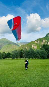 UP Dena SM 92-110kg Zellenpacken Kein Fliegen im Sand TC gültig TC frisch Baumzweige nicht
