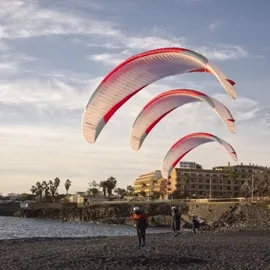 Advance Alpha 7 26 50-88kg No water No trees With bag