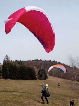 Advance Alpha 7 24 60-95kg Concertinas No SIVs No flying on the sand No trees No water TC valid