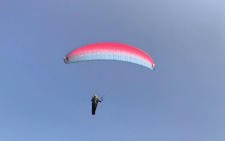 -1131649250